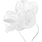 DRESHOW Fascinators Hat Tea Party Headwear Ribbons Feathers on a Headband and a Clip for Women