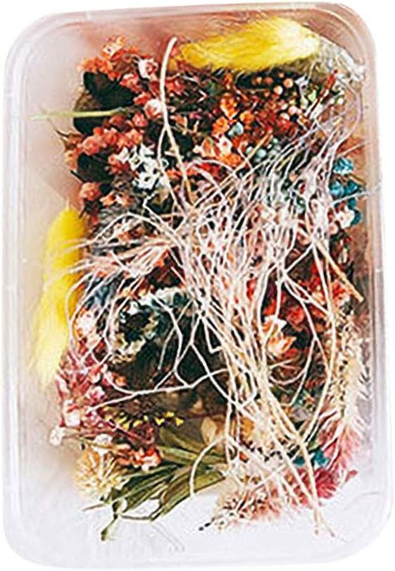 Dried Flowers for Resin Jewelry, 1 Box Preserved Dried Flower Artificial Flowers Natural Dry Plants for Candle Resin Molds Aromatherapy Making Craft DIY Decor Baby Shower Home Decorations (1 Box)