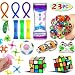 23 Pack Sensory Fidget Toys Set-Liquid Motion Timer/Rainbow Magic Ball/Stretchy String/Mesh and Marble Stress Relief Therapy Hand Toys Sensory Tools for Children and Adults Relief Anxiety