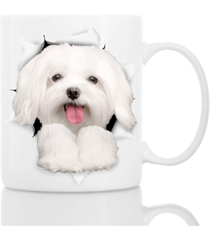 Amazon.com: Lovesout Funny Longhaired Maltese Dog Anatomy Chart Coffee Mug  White Ceramic Cup 11oz : Home & Kitchen