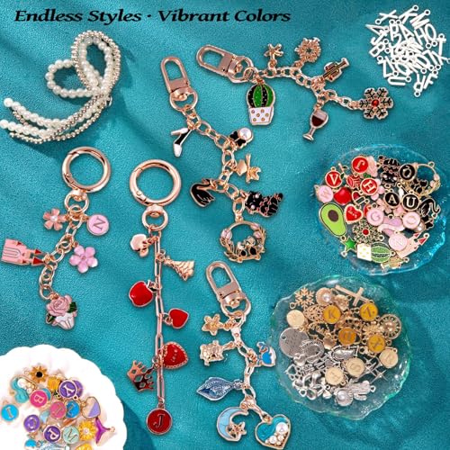 325Pcs Keychain Making Kit, Including 20 Keychain Clips 25 Extender Chain 118 Charms Jewelry Plier, Bag Charm Kit, Keychains Making Supplies for DIY Crafting