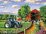 Country Lane 500 pc Jigsaw Puzzle