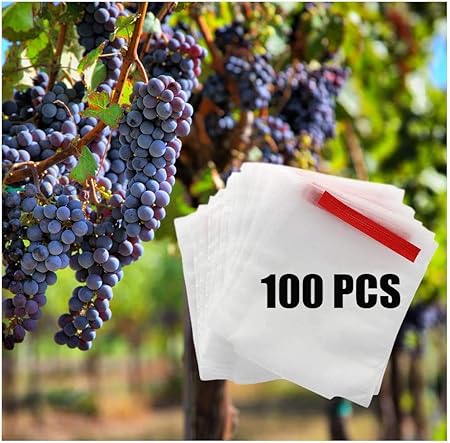 bolsas para uvas amazon