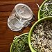 Skylety 4 Pack Stainless Steel Sprouting Jar Lid with 2 Pack Stainless Steel Sprouting Stands for Wide Mouth Mason Jars Canning Jars to Make Sprout (Black)