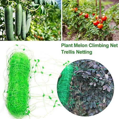 Wangyan 123 2 6M Guisante Tomate Melón Rejilla de Cultivo ...