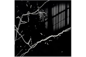 VallisCo Peel and Stick Backsplash Tiles 20 Sheets 12''x12'' PVC Self Adhesive Wall Tiles Back Splash Tiles Wall Panels Stick on Backsplash for Kitchen Bathroom Laundry Room, Black