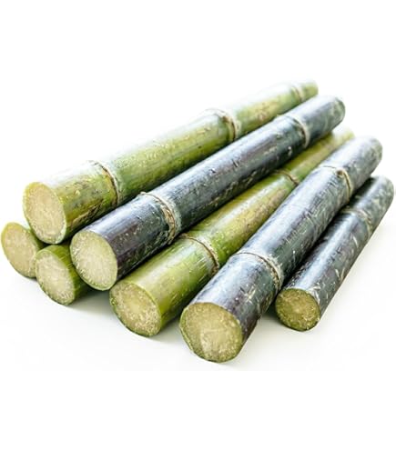 Amazon.com: Chaokoh Sugar Cane in Syrup : Grocery & Gourmet Food
