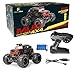RC Car Remote Control Car, 1:16 Scale Electric RC Vehicles Off Road Vehicle 2.4GHz Radio Monster RC Truck High Speed Racing Monster Truck,Excellent Gift for Kids（Red）