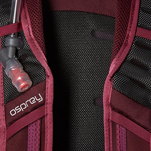 Osprey Packs Women's Skimmer 16 Hydration Pack, Plume Purple Pricepulse