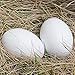 MasterPro Wooden Fake Eggs-6 pieces