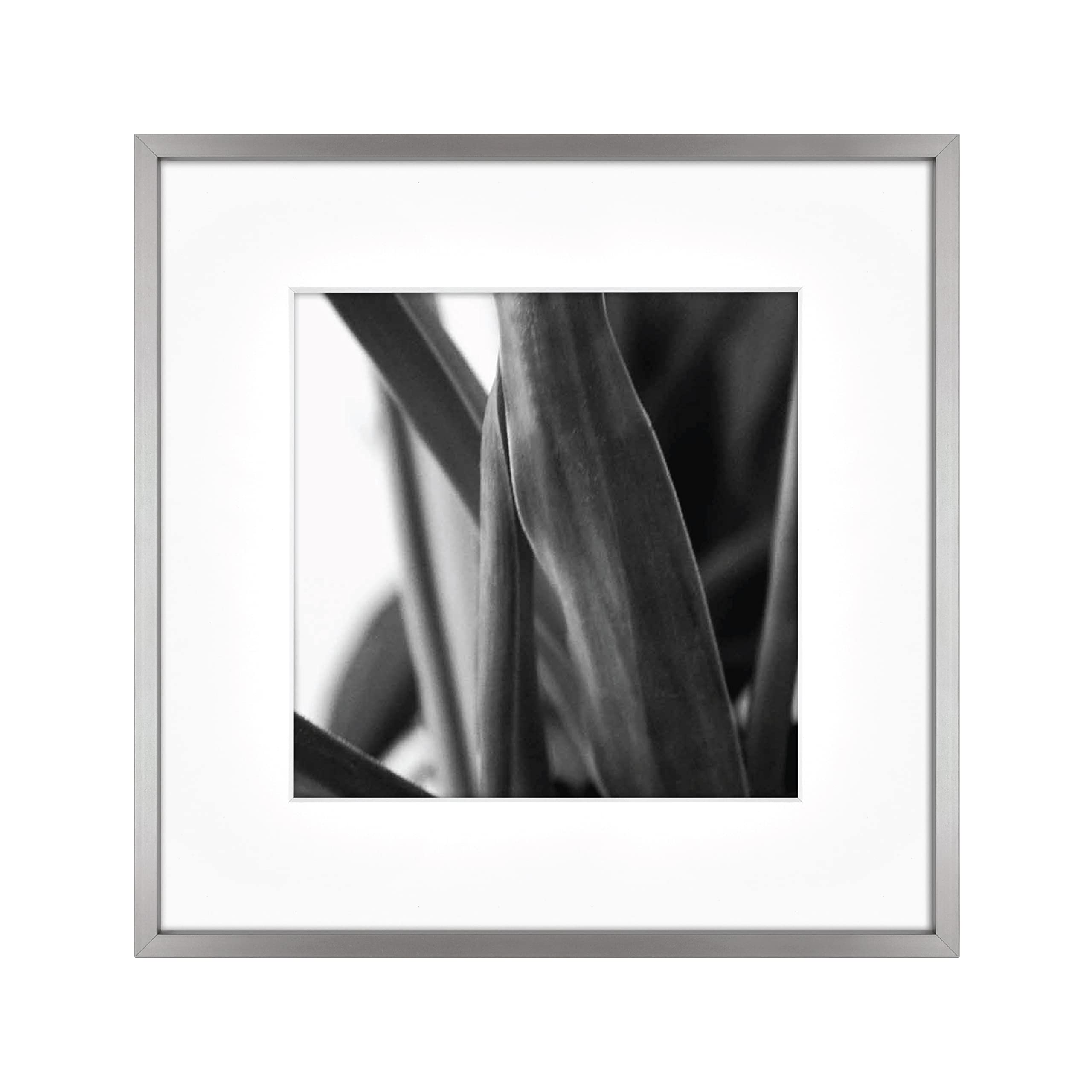 MCS Gallery Wall Frame, Dark Silver, 12 x 12 in matted to 8 x 8 in