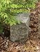 Land Surveying Simplified