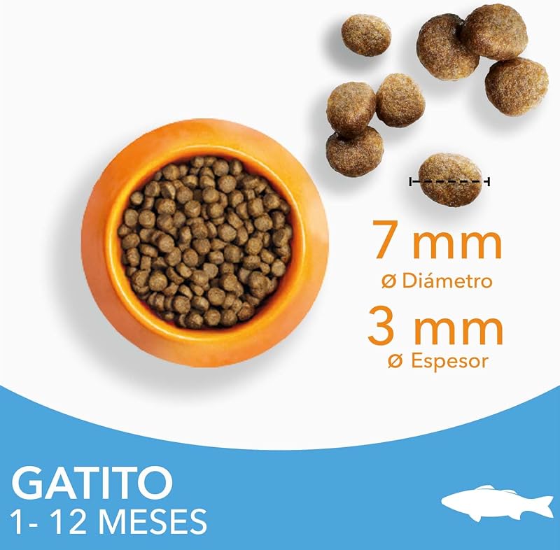 Alimento Seco para Gatitos de 1-12 Meses, Pescado oceánico, 10 kg