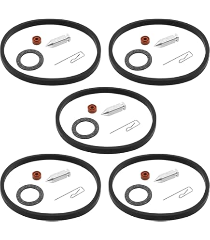 Oregon Vergaser-Reparaturset Für Tecumseh Motoren – Passt Für Teilenummern 632760 & 632760A