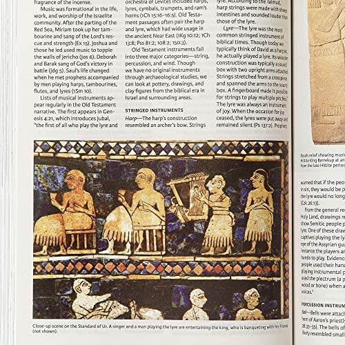 CSB Holy Land Illustrated Bible, Hardcover, Black Letter, Full-Color Design, Articles, Photos, Illustrations, Easy-to-Read Bible Serif Type CSB Holy Land Illustrated Bible, Hardcover, Black Letter, Full-Color Design, Articles, Photos, Illustrations, Easy-to-Read Bible Serif Type Hardcover