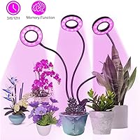 Amazon.es Los más vendidos: Los productos más populares en Lámparas de