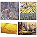TSING DIY Crystals Paint Kit 5D Diamond Painting by Number Kits, The Lion - 15x19.7 inches