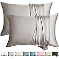 WLOSJ 100% Silk Pillow Cases 2 Pack Queen Size Mulberry Silk Pillowcase for Hair and Skin Set of 2 Highest Grade 6A Silk Soft Breathable Cooling with Hidden Zipper, Grey