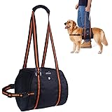 Amazon Com Coodeo Dog Lift Harness Support Recovery Sling Pet Rehabilitation Lifts Vest Adjustable Breathable Straps For Old Disabled Joint Injuries Arthritis Paralysis Dogs Walk Small Kitchen Dining