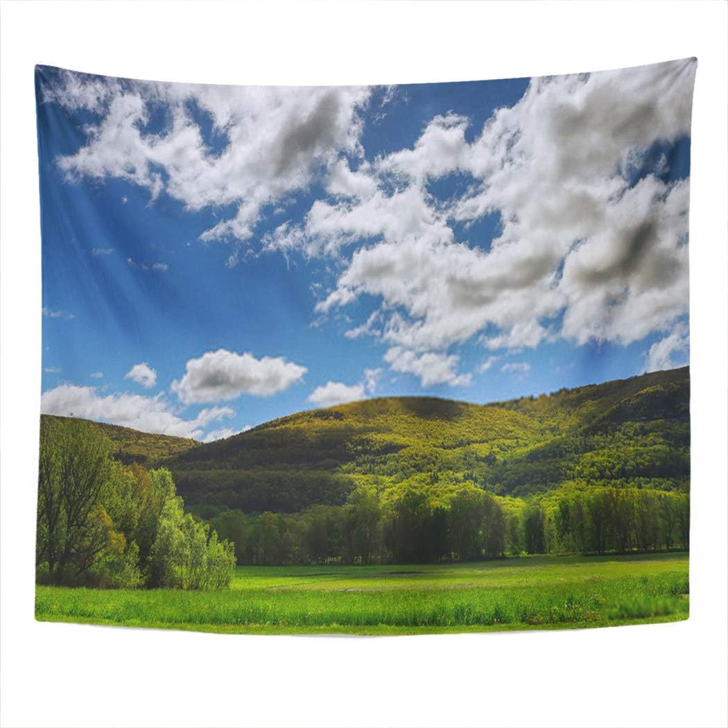 Llsty Tapestry Nature Scene Trees Springtime Mountain Pennsylvania New York City 50x60 Inches Polyester Suitable for Dormitory Living Room Bedroom Home Wall