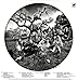 Aoxomoxoa (180 Gram Vinyl)