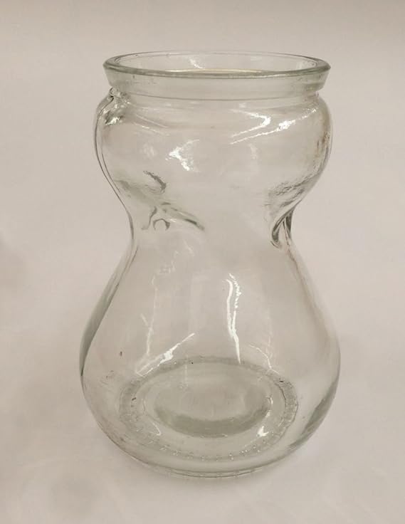 Hyacinth Bulb Carafe x 2. Attractive Clear Glass Bulb vase. Amazon.co