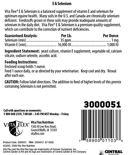 Vita Flex, E and Selenium Balanced Essential Antioxidants - 4lbs, 64 Day Supply