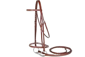 PARIS TACK Everyday Raised Fancy Stitched Leather English Schooling Bridle with Laced Reins St. Steel Hardware with 1 Year Warranty.