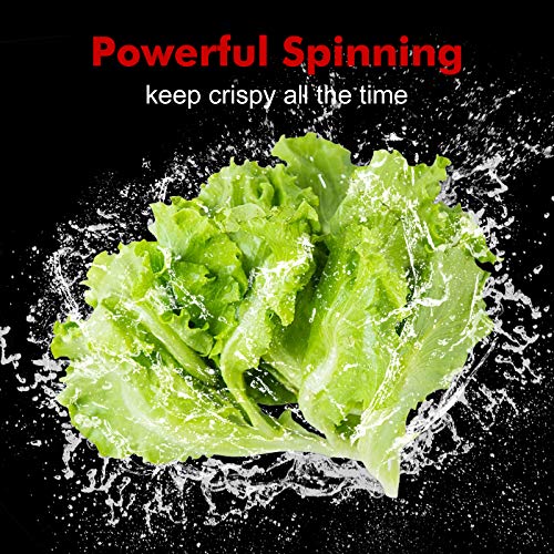 Salad Spinner Large 5L Capacity, Easy to Clean Lettuce Spinner with