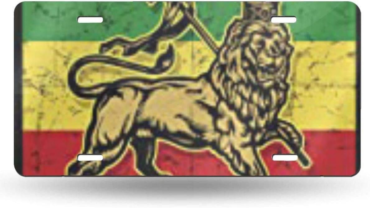 Blake55Albert Green Rasta Lion of Judah Flag Red Reggae