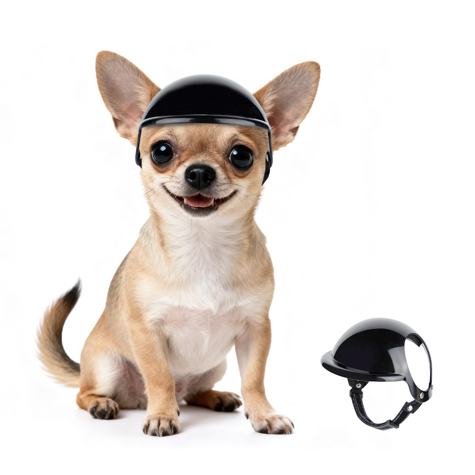 bike helmet for chihuahua PETLESO Dog Helmet for Small Dogs, XSmall Chihuahua XSmall, Black