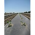 Plastic Mulch Film - Black - Eco-One - 4 ft. X 250 ft. - .5 Mil Thick - by Growers's Solution