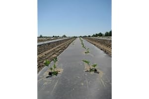 Plastic Mulch Film - Black - Eco-One - 4 ft. X 250 ft. - .5 Mil Thick - by Growers's Solution