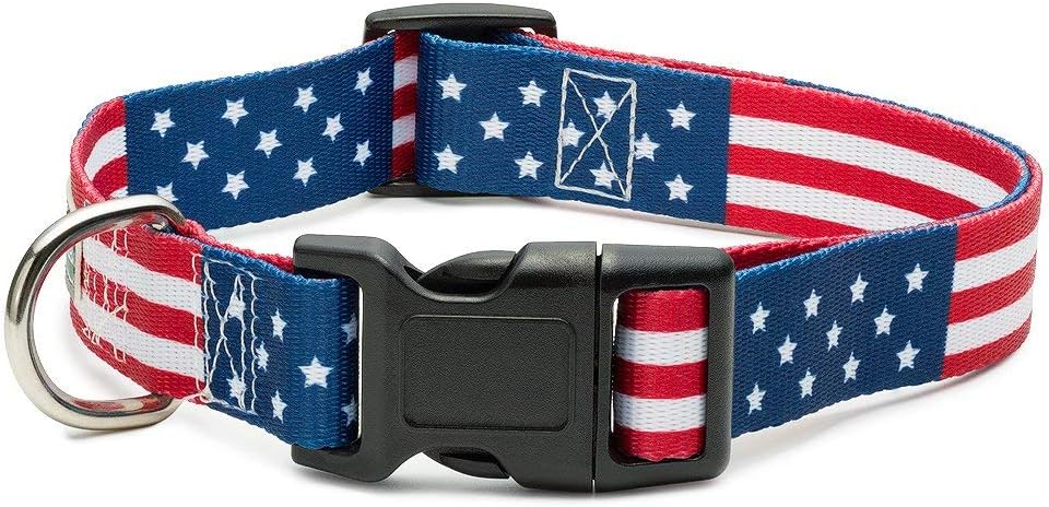 American Flag Dog Collar in 5 Different Sizes Classic (Large)