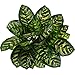 HOGADO Artificial Shrubs, 2pcs Silk Greenery Plants Tropical Leaves Wall Planter Office Veranda Pot Patio Kitchen Multi-Color