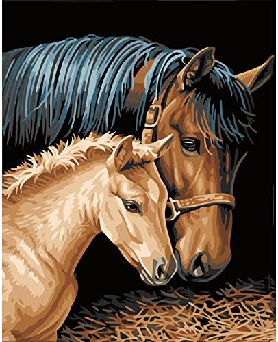 Amazon Com Nuevo Para Pared Paisaje Pintura Al Oleo Por Numeros