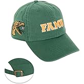 Desert Cactus Florida A&M University Baseball Hat FAMU Rattlers Brimmed Embroidered Hats Cap Adjustable Cloth Strap Adult (Style D) Green