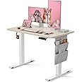 Marsail Electric Standing Desk, 40x24 Inch Adjustable Height Home Office Gaming Desk with 4 Memory Presets, Storage Bag, Stand-Up Desk for Computer Workstations. Headphone Hook,Cable Organizer