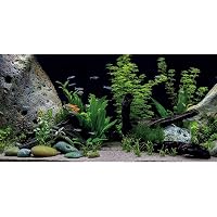 48x24 Inch Fish Tank Background River Bed And Lake Aquatic