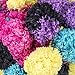 Red Heart Pomp-A-Doodle Party Mix
