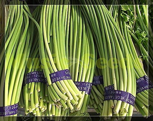 1bag=100pcs HOT JAPANESE GREEN GARLIC SPROUT seeds giant delicious VEGETABLES seeds NO-GMO bonsai home & garden