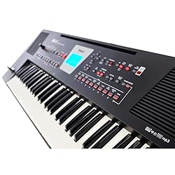 ROLAND BK-3 BK Arranger keyboards