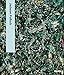 Jackson Pollock by 