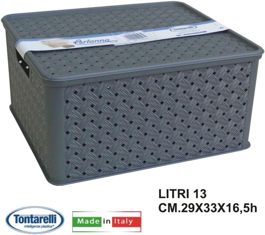 Caja almacenaje 13 l c/tapa arianna grafito: Amazon.es: Hogar