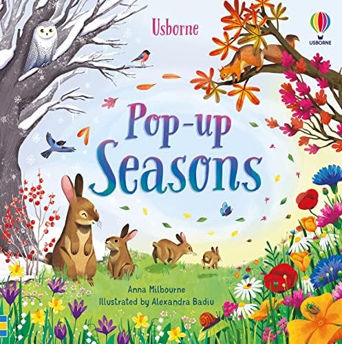 Pop-Up Garden: Watt, Fiona: 9781409590347: Amazon.com: Books