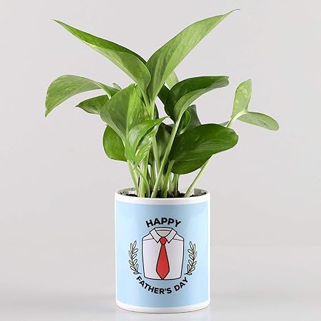 ferns and petals fathers day