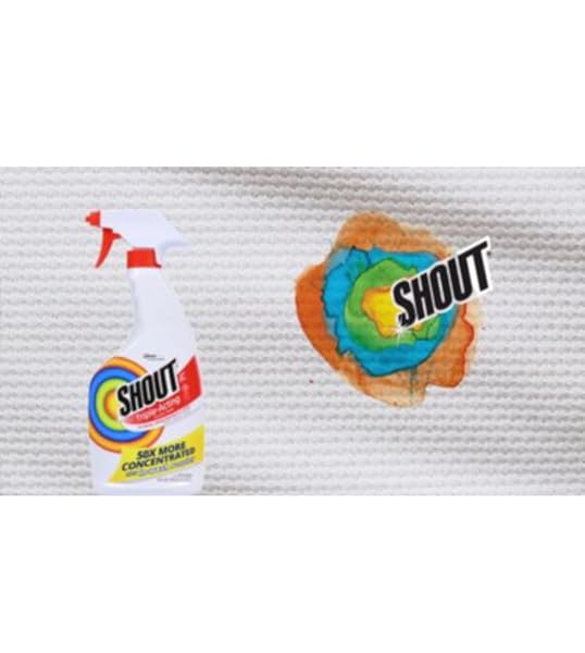 SHOUT TRIPLE ACTING LAUNDRY STAIN REMOVER WITH 22 OZ TRIGGER, 1 GALLON