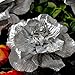 MEJOY Paper Flower Decoration, Handcrafted Flowers, Crepe Paper Flowers for Wedding Backdrop, Baby Shower, Nursery Wall Decorations,Garden Party Photo Booth,Bridal Shower,Archway Decor