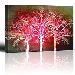 Trees with The Sunset Behind Them