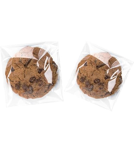 Echo-ove Lot De 100 Sachets Plats Refermables Transparents En